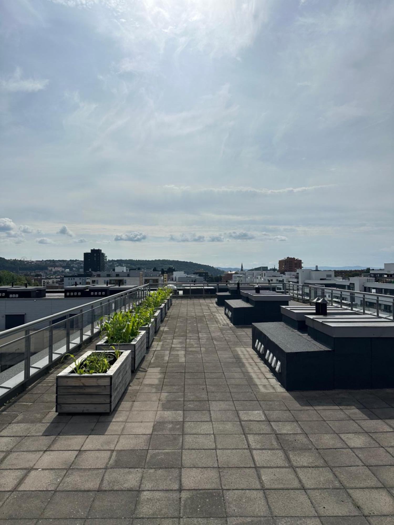 Moderne I Gamle Appartamento Oslo